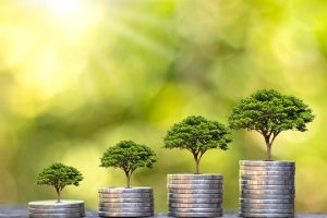 Four stacks of coins of increasing height, each topped with a small tree, set against a blurred green background. The scene symbolizes financial growth and environmental sustainability.