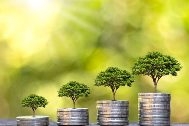 Four stacks of coins of increasing height, each topped with a small tree, set against a blurred green background. The scene symbolizes financial growth and environmental sustainability.