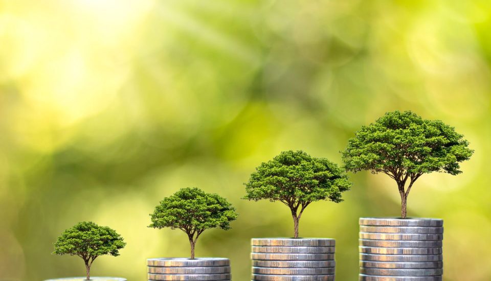 Four stacks of coins of increasing height, each topped with a small tree, set against a blurred green background. The scene symbolizes financial growth and environmental sustainability.